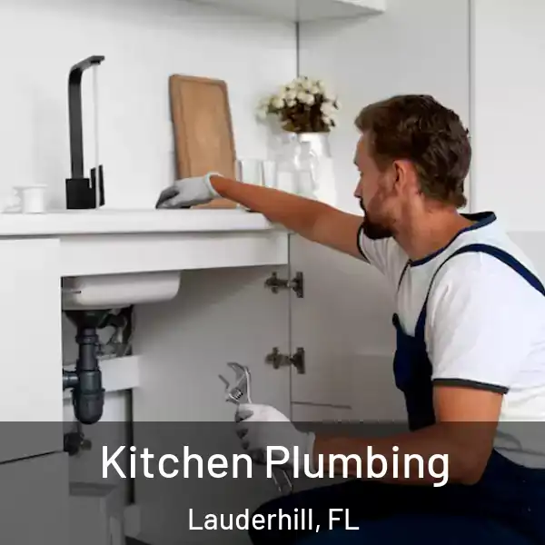  Kitchen Plumbing Lauderhill, FL